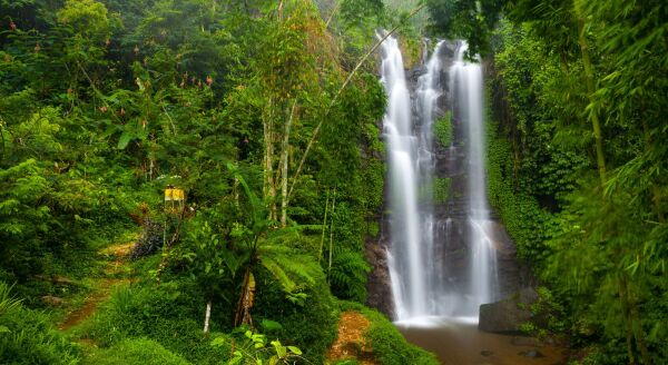 Tag 6: Pemuteran – Menjangan-Insel – Ubud (F/M)