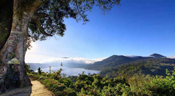 Tag 6: Lovina – Munduk (B)