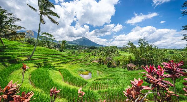 Tag 7: Munduk – Ubud (B)