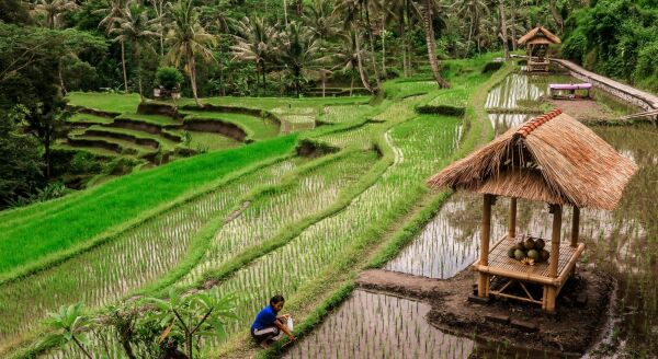 Tag 2: Kuta – Belimbing (F)