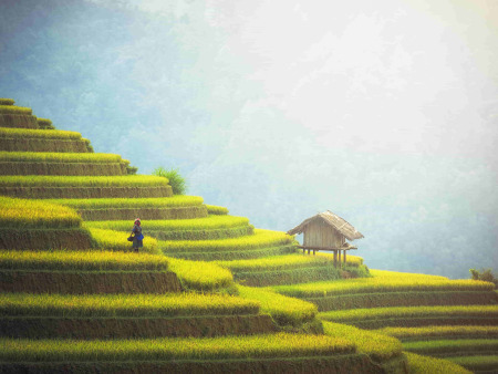 Vietnam Signature in 13 Tagen