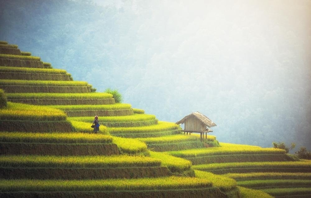 Vietnam