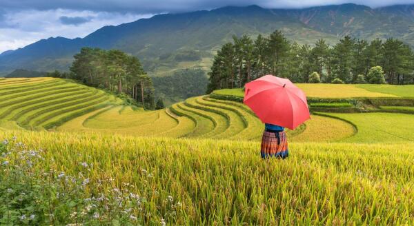 Tag 3: Trekking durch die Reisterrassen – Ta Van – Giang Ta Chai (F/M)