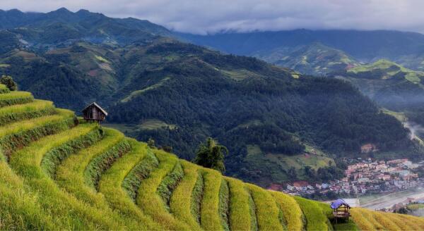 Tag 5: Pu Luong – Hanoi (F/M) – Ikonische Reisterrassen | Lokale Brokatstoffe