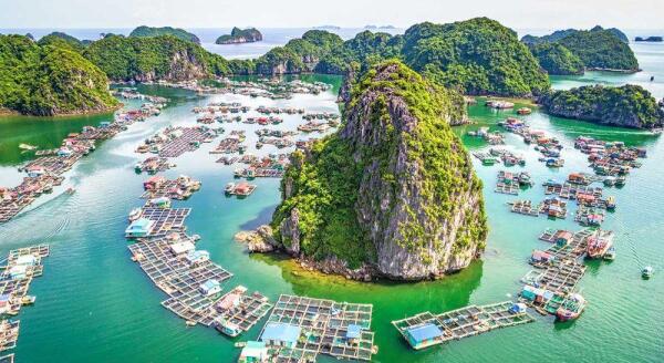 Tag 5: ABSEITS DER AUSGETRETENEN PFADE IN DER HALONG-BUCHT – DUNKLE & HELLE HÖHLE – HANOI (B/L) GEMEINSAME KREUZFAHRT, BUS