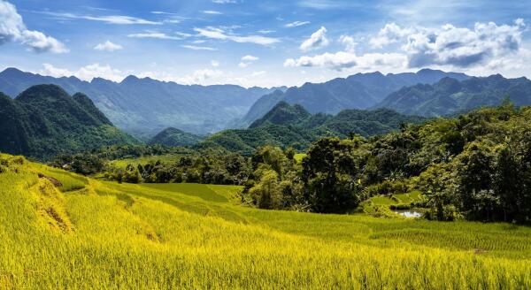 Tag 4: Mai Hich – Pu Luong – Mai Hich (F/M) – Privater Ausflug