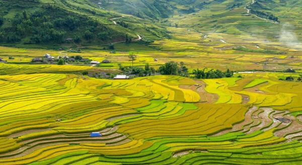 Tag 5: Ta Van – Giang Ta Chai – Sapa – Hanoi (B/L)