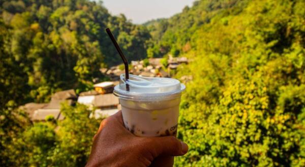 Tag 8: Erleben Sie das thailändische Landleben im Dorf Mae Kampong (F/M)