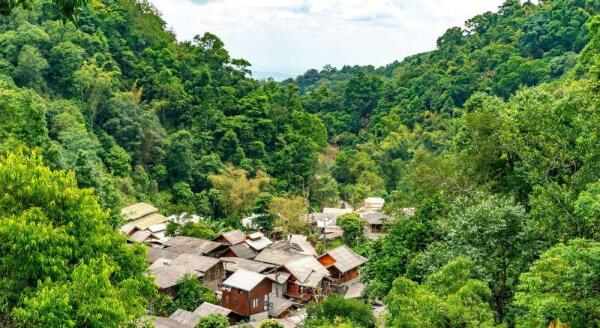 Tag 8: Erleben Sie das thailändische Landleben im Dorf Mae Kampong (F/M)