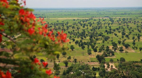 Tag 5: Battambang (F)