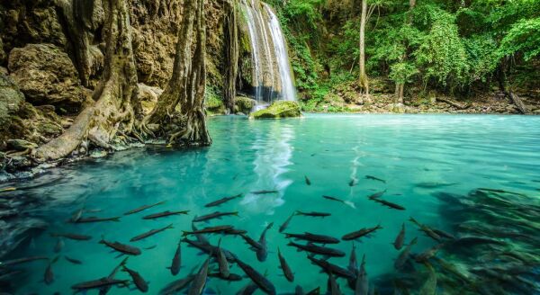 Tag 4: Wanderung zum Erawan-Wasserfall (F)