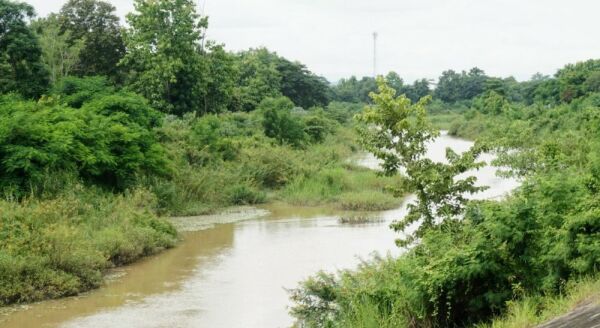 Tag 5: Flug von Bangkok nach Chiang Mai – Bootsfahrt auf dem Mae-Ping-Fluss (F)