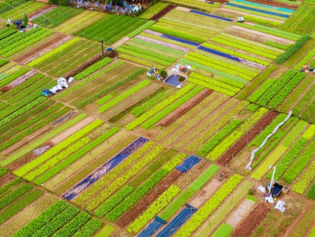 5 vietnamesische Dörfer als beste Tourismusdörfer der Welt ausgezeichnet