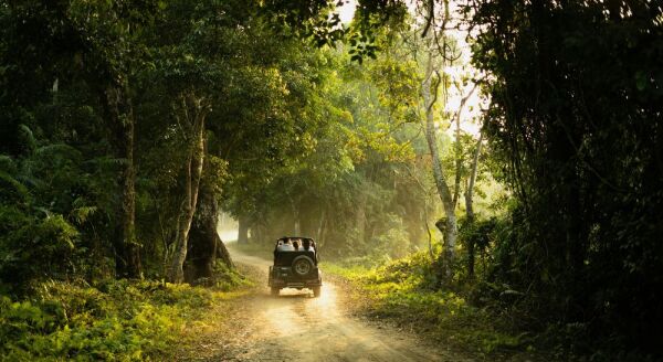 Tag 7: UBUD – ELEFANTENRITT-TOUR IN TARO – TEMPELREINIGUNG (F/M)