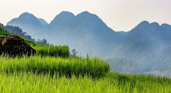 Tag 3: Pu Luong – Hanoi (F/M) Ikonische Reisterrassen | Lokale Brokatweberei