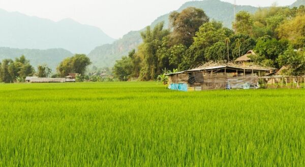 Tag 3: Hanoi – Transfer nach Mai Chau (F) – Privater Transfer