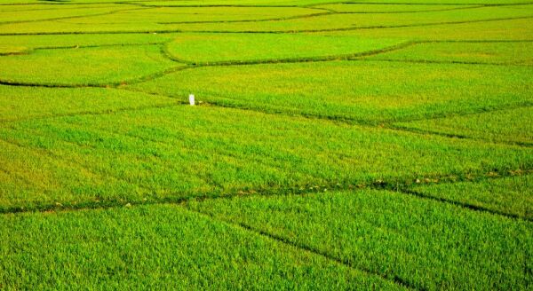 Tag 8: Hanoi – Flug nach Dong Hoi (F) – Flug inklusive